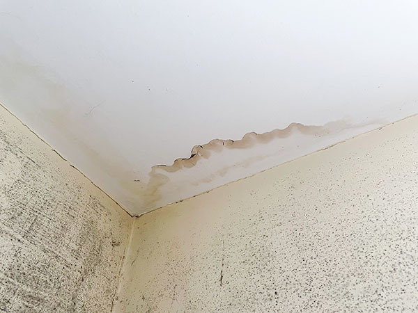 Photo - Damp ceiling