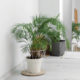 Miles Spring Campaign Web Pm Img