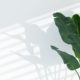 Pm Web Image