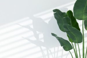 Pm Web Image