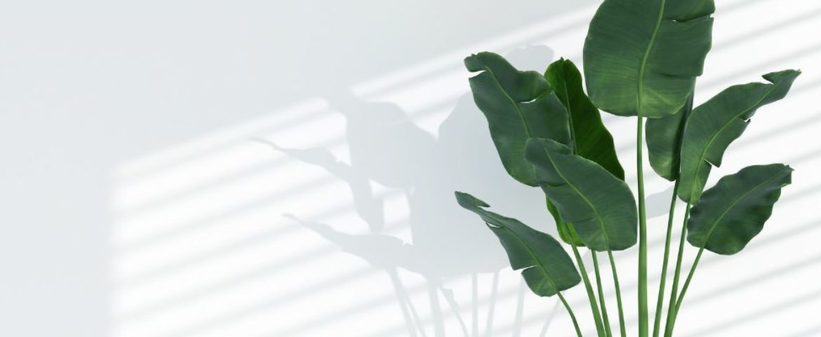 Pm Web Image