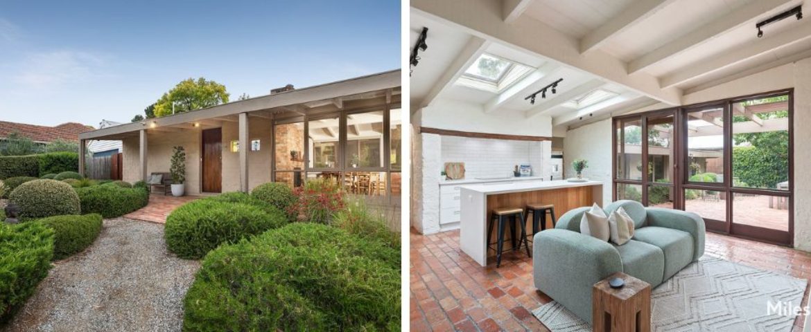 Web Image Template 3